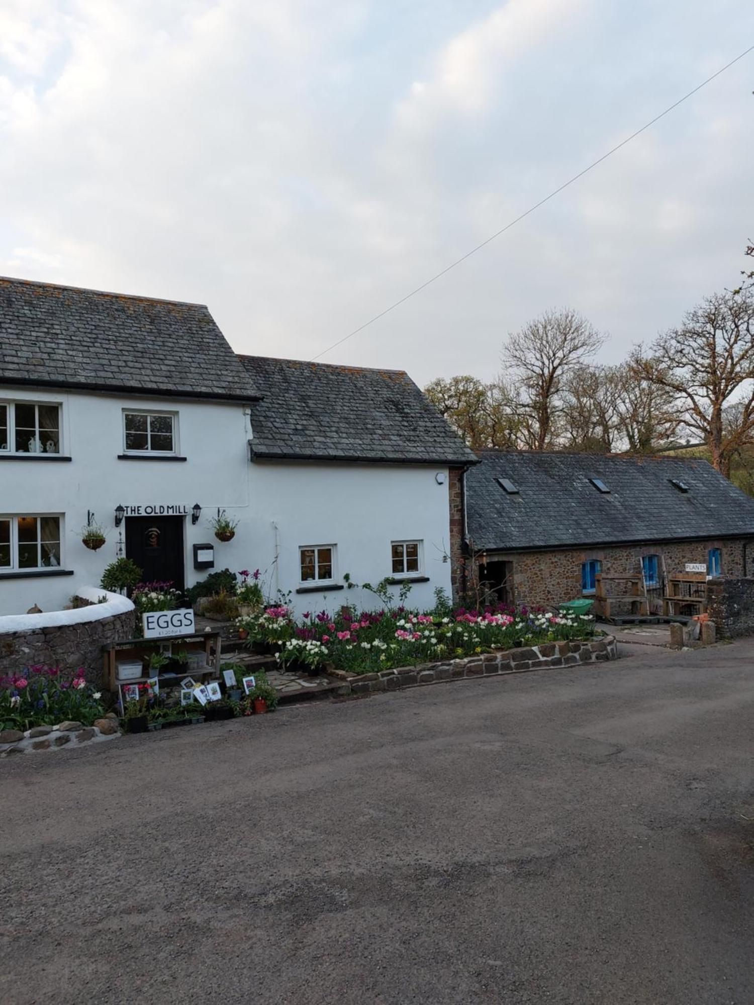 The Millers Cottage Okehampton Eksteriør billede