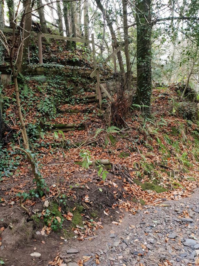 The Millers Cottage Okehampton Eksteriør billede